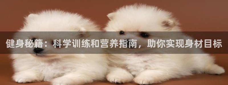 龙8国际提现被黑
