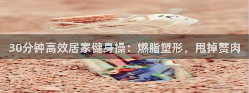 龙8老虎机手机版