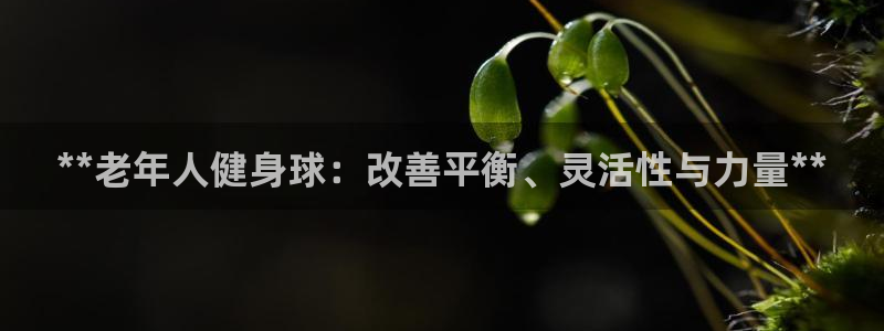 龙8国际网址