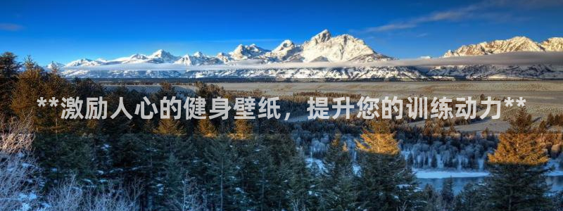 龙8电子游艺网址多少