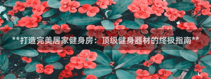 龙8国际.com