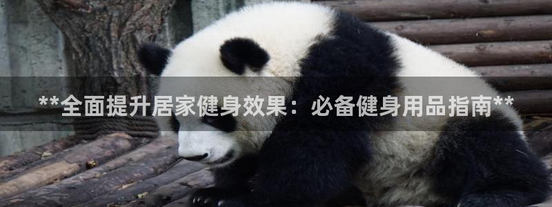 龙8游戏官方网站s