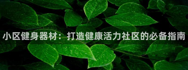 龙8国际.apk