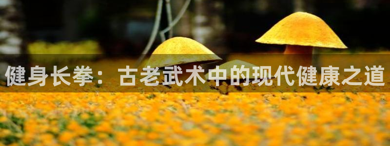 龙8国际手机游戏官网下载