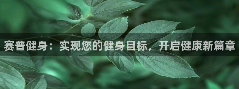龙8国际的官网