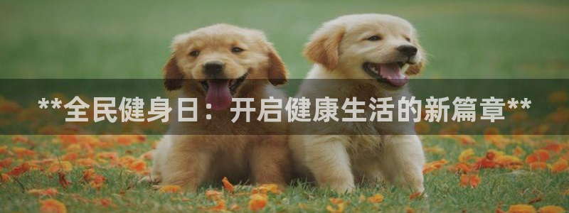 龙8国际官网版手机版