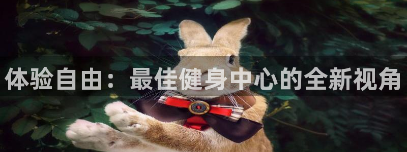 龙8国际是什么
