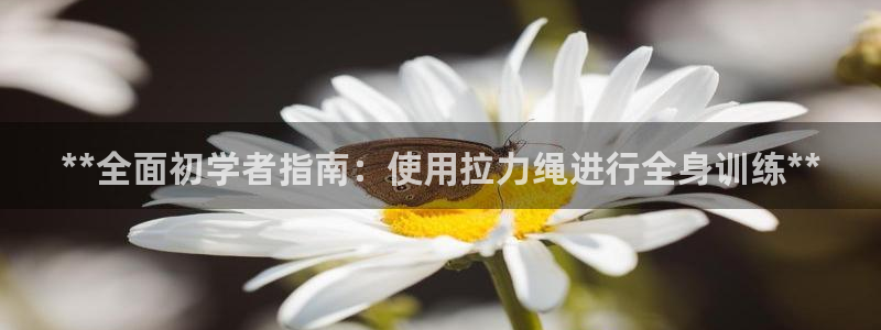 龙8国际官方网站苹果版