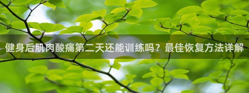 龙8国际客服