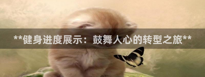 龙8官网国际