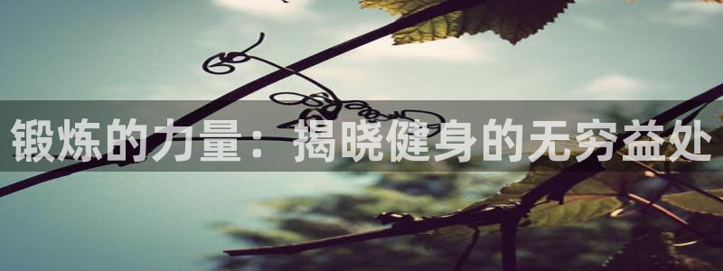 龙八国际app客户端下载不了