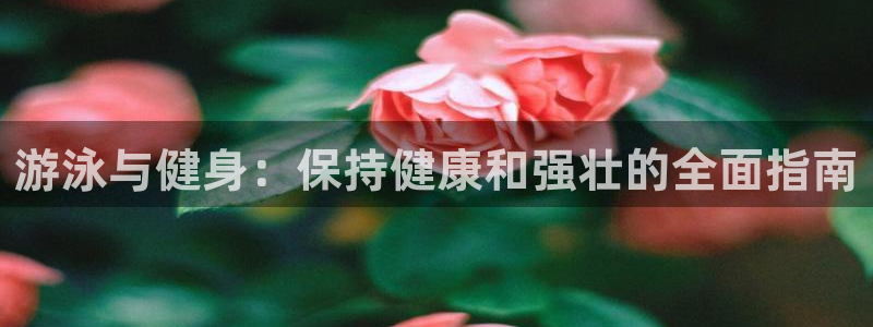 龙8国际免费试玩