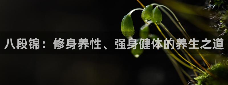 龙8国际电玩城