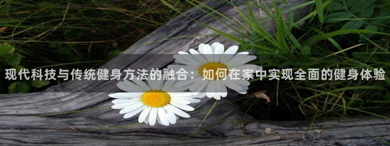 龙8国际电玩城