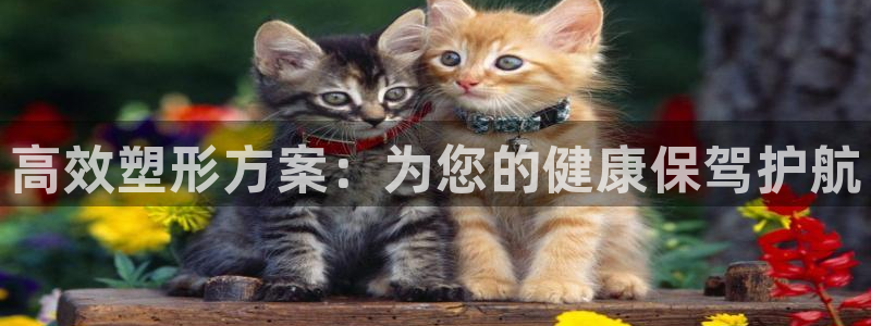 龙8电子游戏_首页