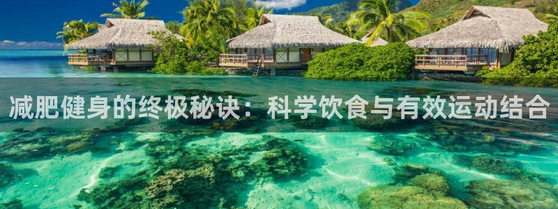 龙8国际官网娱乐