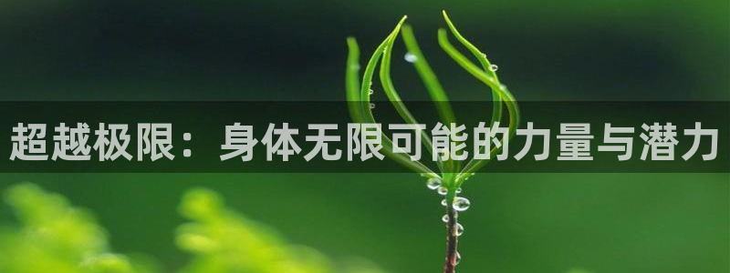 龙8国际真钱