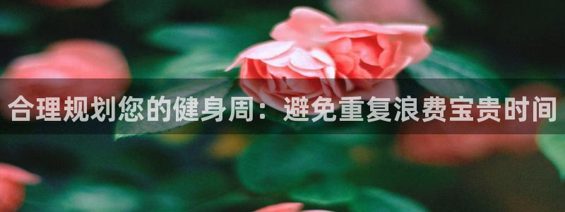 龙8国际唯一官网官方版