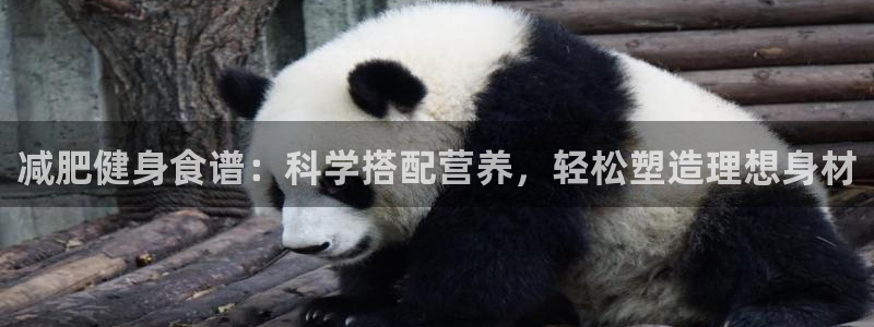 龙8国际唯一官网登录口