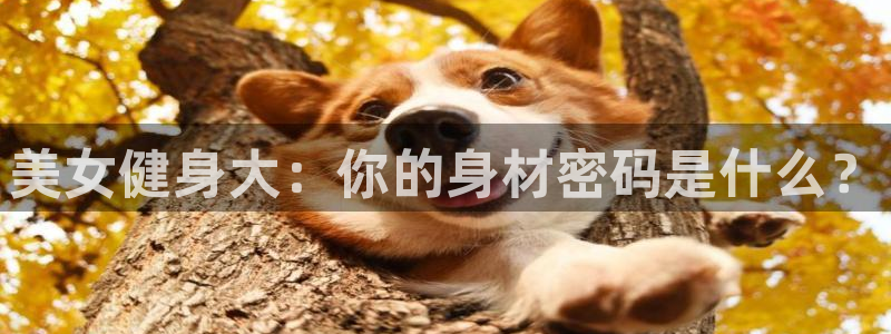 龙8国际头号玩家