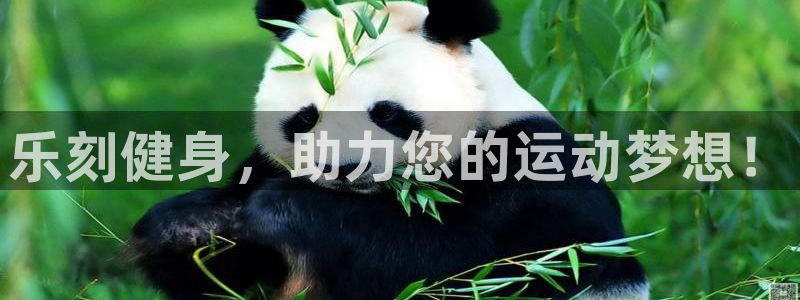 龙八国际app客户端下载不了