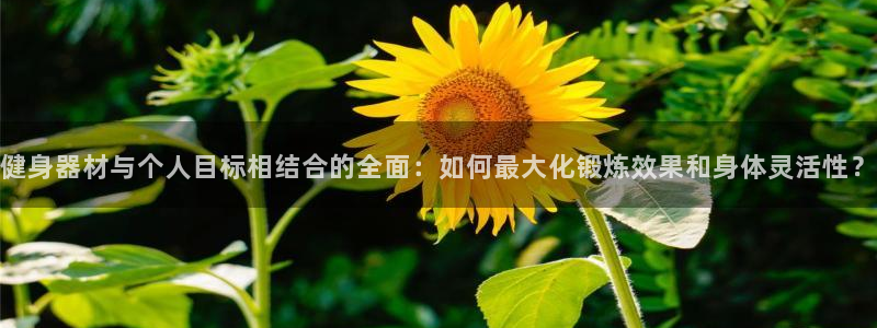 龙8国际电子游戏