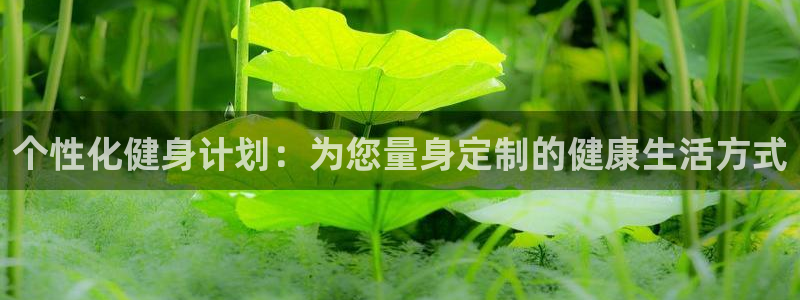 龙8国际pt客户端下载