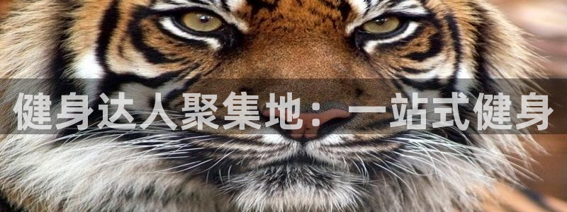 龙8游戏平台的网站