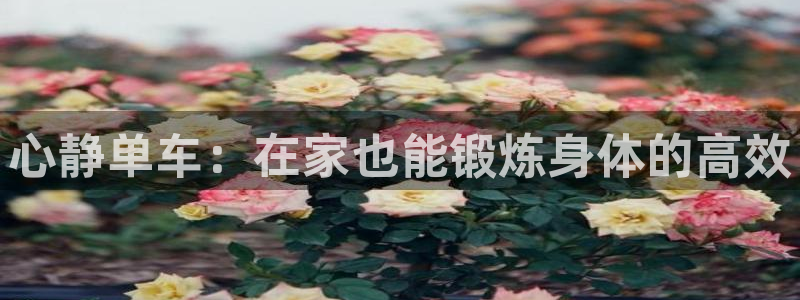 龙8 国际