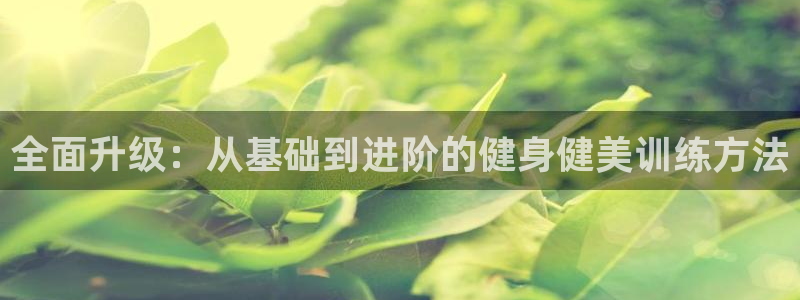 龙8游戏官网