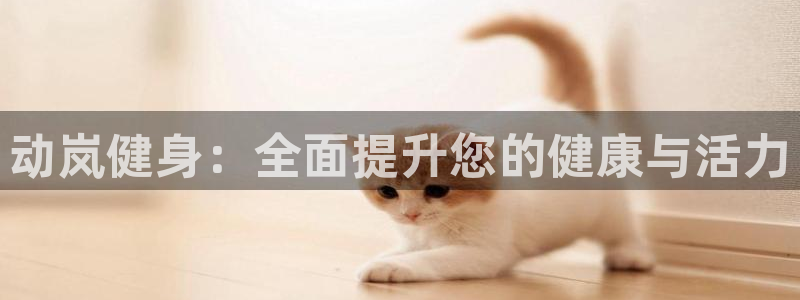 龙8国际官网