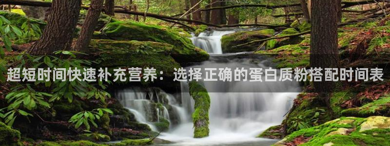 龙8国际现金