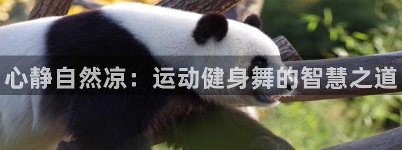 龙8国际总代理