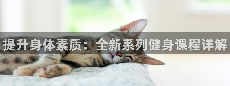 龙8国际pt客户端下载