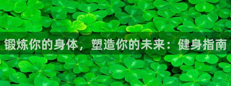 龙8国际是什么