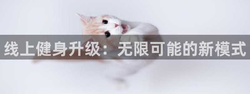 龙8国际手机网页版