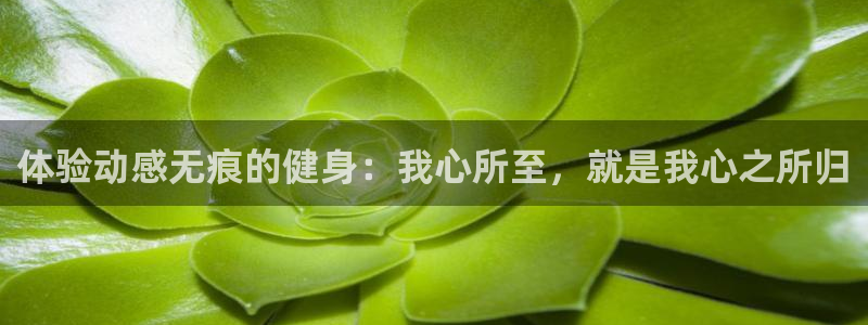 龙8国际是真的吗