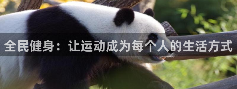 龙8国际官网注册