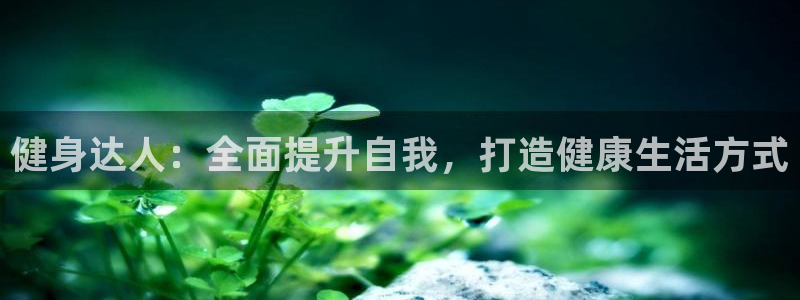 龙8国际官网正版