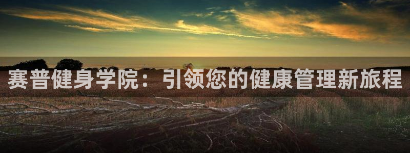 龙8国际官网版