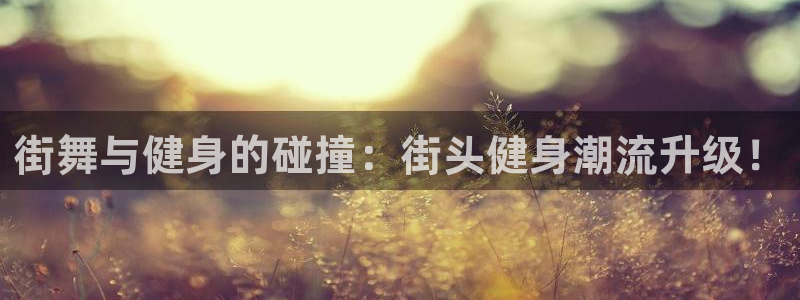 龙8国际官方网站