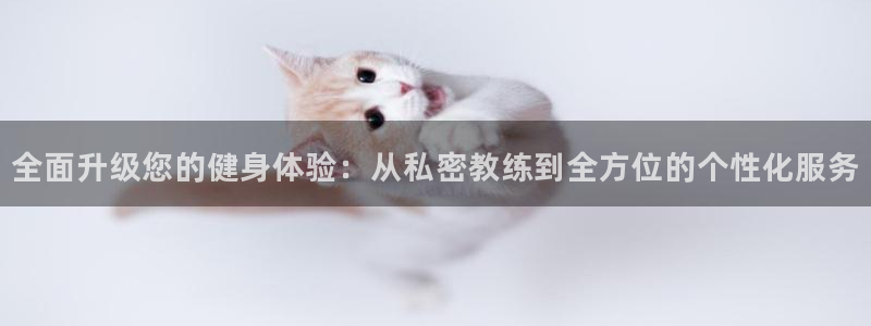 龙8国际手机登录官网