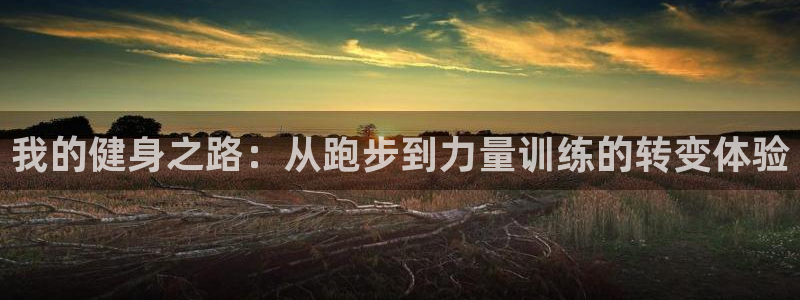龙8app 国际