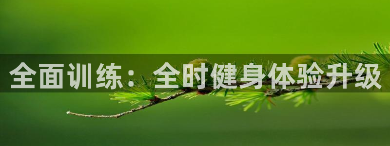 龙8国际是什么电影