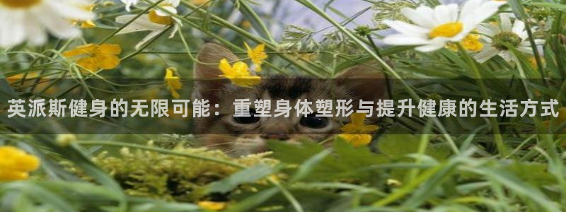 国际龙8官网pt客户端下载