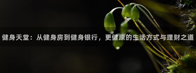 龙8国际欢迎您