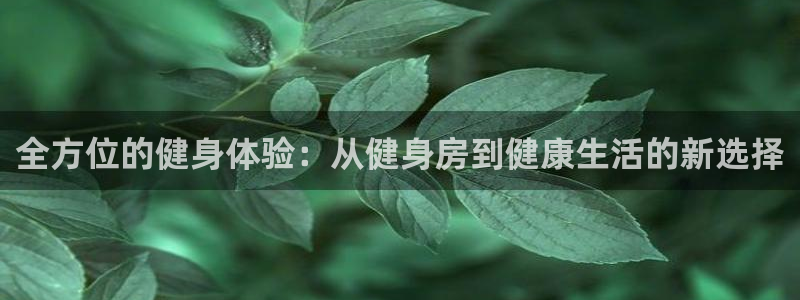 龙8国际网址是什么