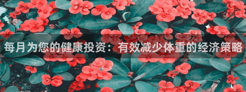 龙8国际游戏最新资讯