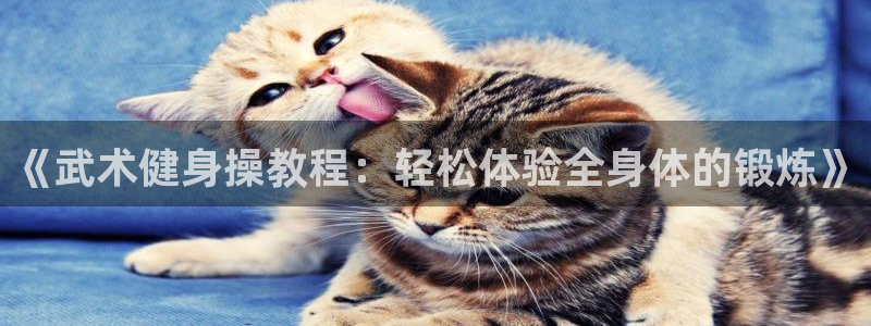 龙8国际app下载安装