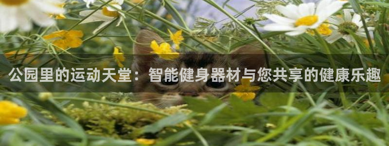龙8国际官网下载